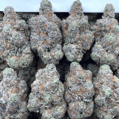 Blueberry Sweet Tartz