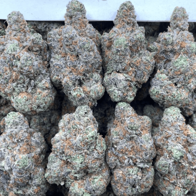 Blueberry Pie