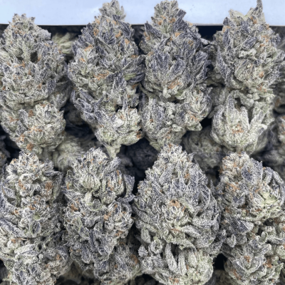 Crowned Gelato