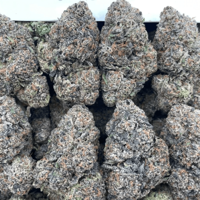 Freeze Dried Mochi