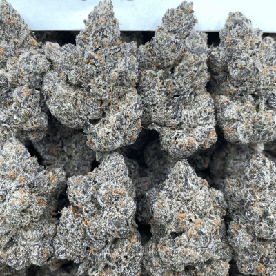 Grand Daddy Purp