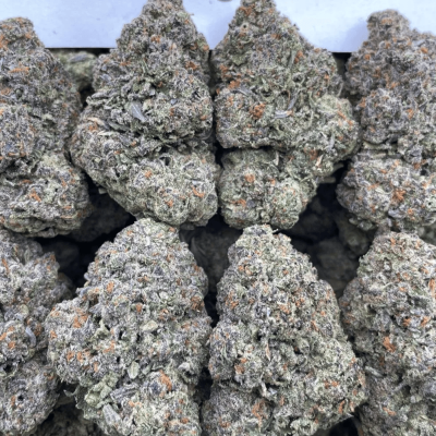 Girl Scout Cookies