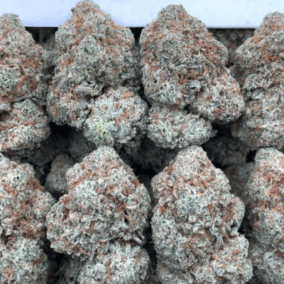 Gorilla Glue