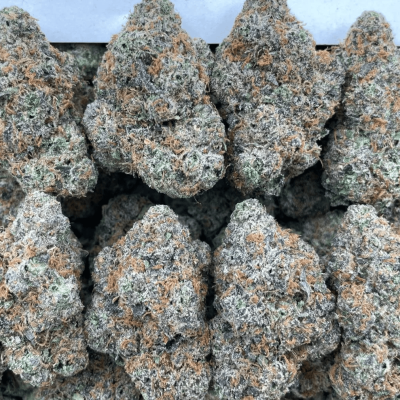 Jack Herer