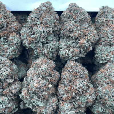 Platinum