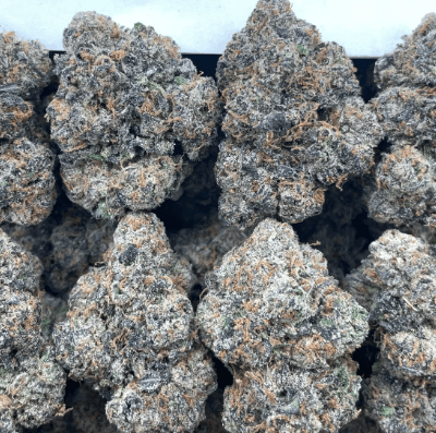 Lemon Zots