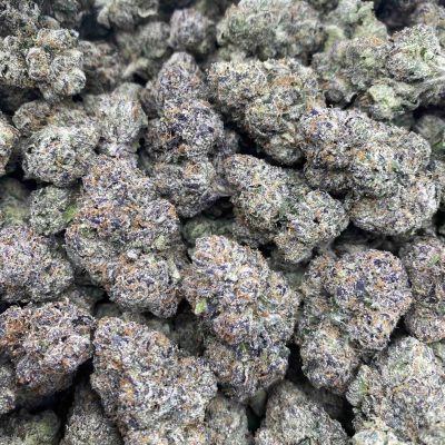 Blue Nerds
