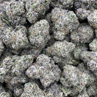Caviar