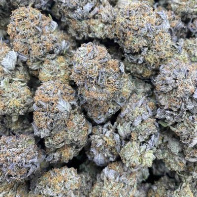Platinum Bubba
